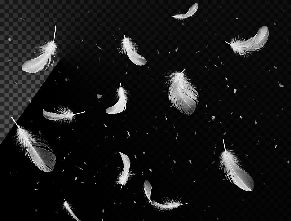 Havoda shaffof qoplama effekti bilan suzuvchi ko'plab oq patlar | Many white feathers floating air transparent overlay effect