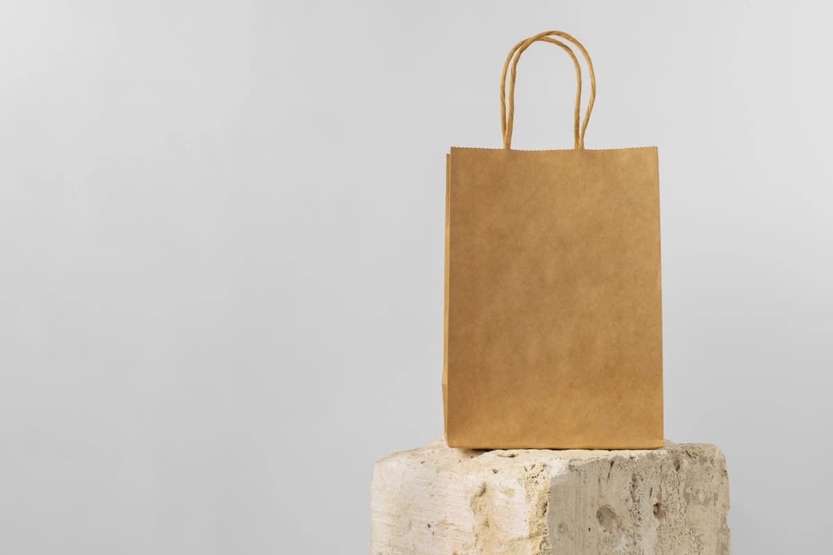 Qog'oz paket maketi | Paper bag mockup