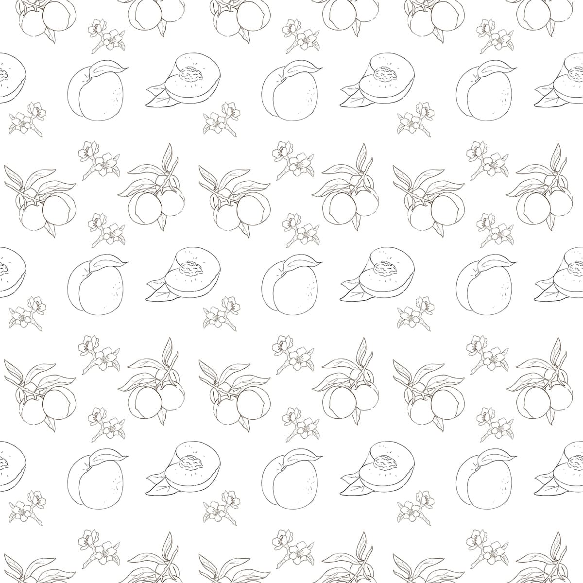 Oq fon qalamli mevali sabzavotlar to'plami | Collection fruits vegetables with pencil white background