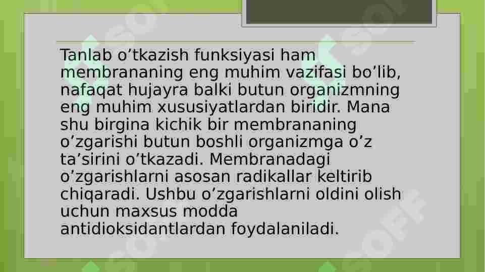 Product slide 5