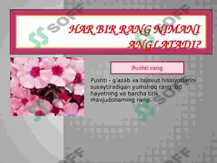 Product slide 5