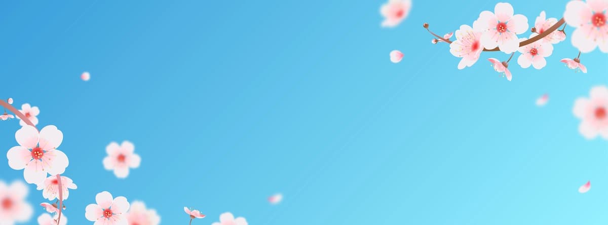 Gul barglari tushgan bahorgi gilos banneri | Spring cherry blossom with falling petals banner
