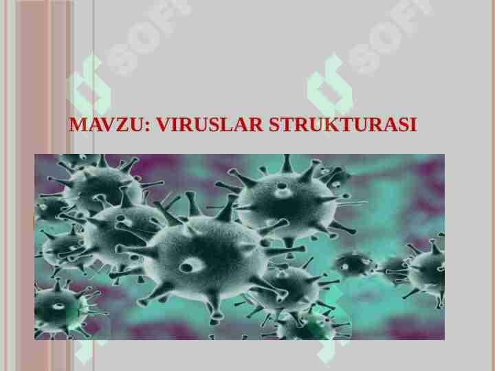 VIRUSLAR STRUKTURASI