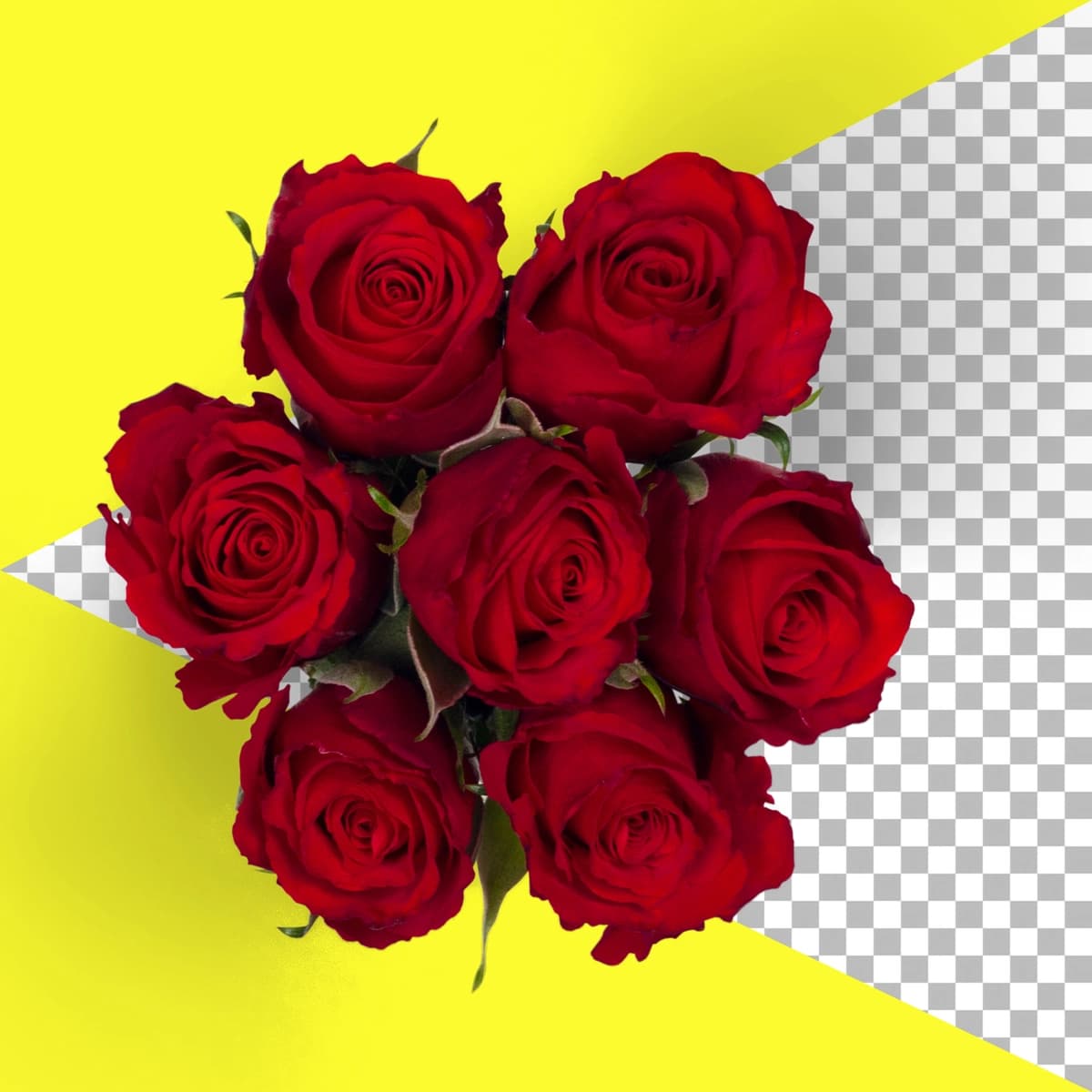 Izolyatsiya qilingan qizil atirgullarni ko'ring | Top up view isolated red roses