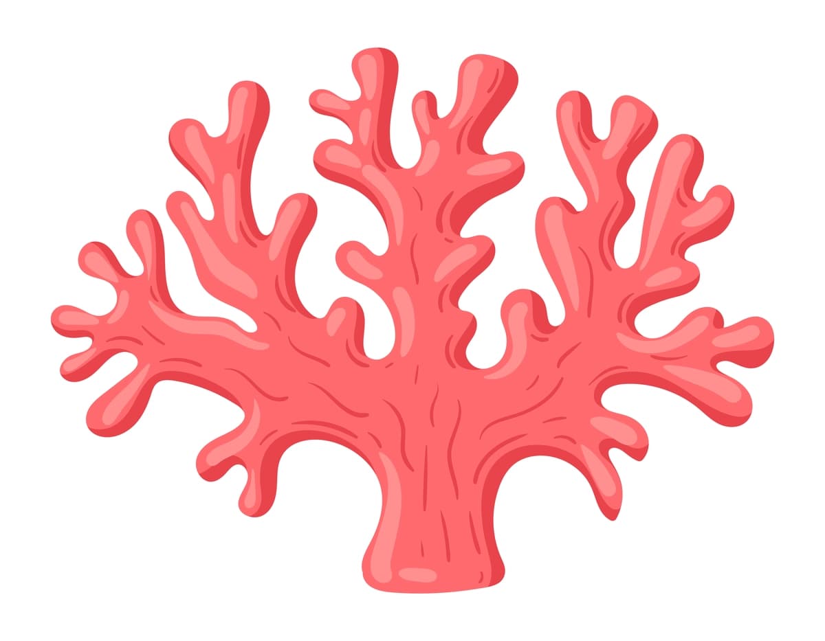 Multfilm okean marjonlari suv osti dengiz florasi marjon rifining dengiz qismi | Cartoon ocean coral underwater marine flora coral reef part sea