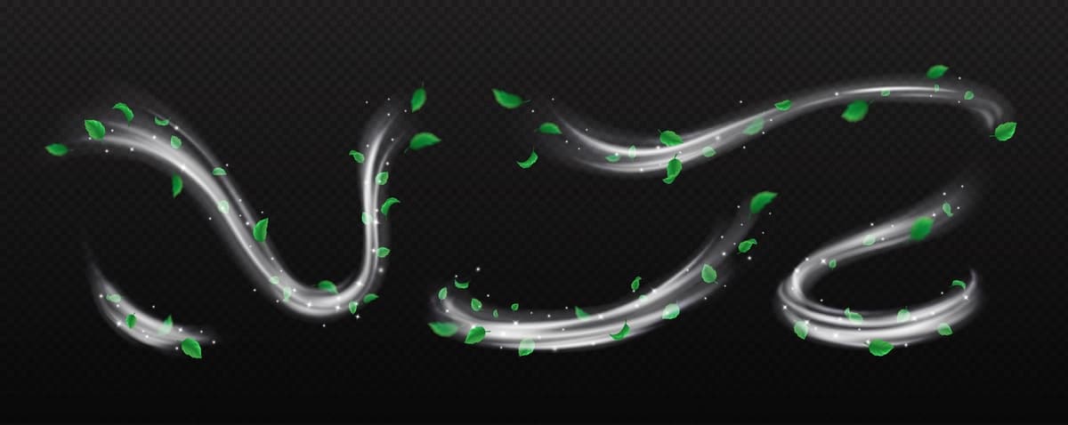 Kumush changli mayda barglar aylanma vektorli illyustratsiya to'plami | Silver dust small leaves whirls vector illustration set