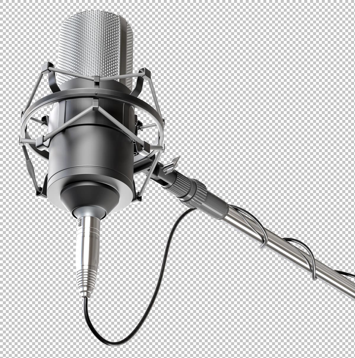 Professional studio kondensator mikrofoni 3d | Professional studio condenser microphone 3d