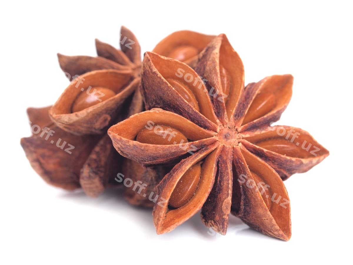 Anis yulduzlari oq orqa fonda | Anise stars white background