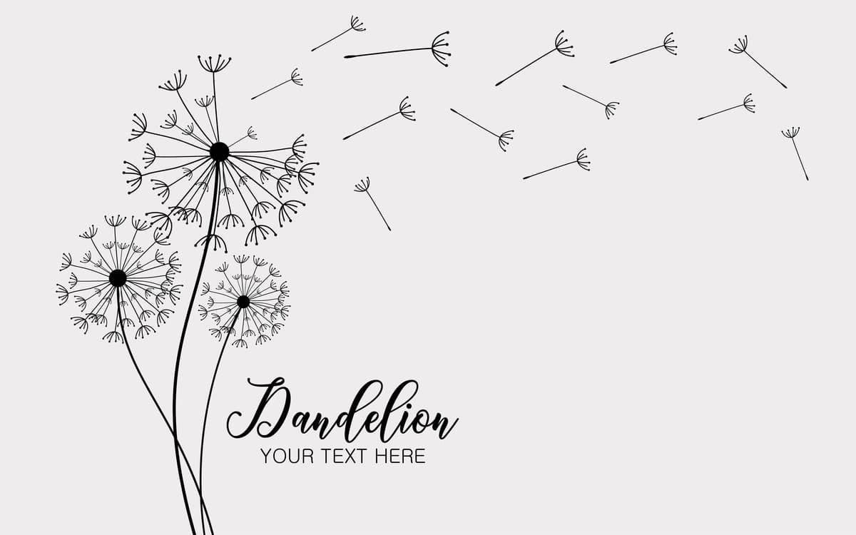 Abstrakt fon karahindiba dizayni shamol urug'larni uchirib yuboradi karahindiba | Abstract background dandelion design wind blows seeds dandelion