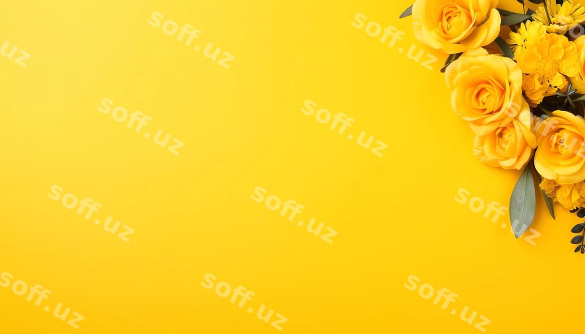 Fonda mahsulot suratga olish | Background product photography