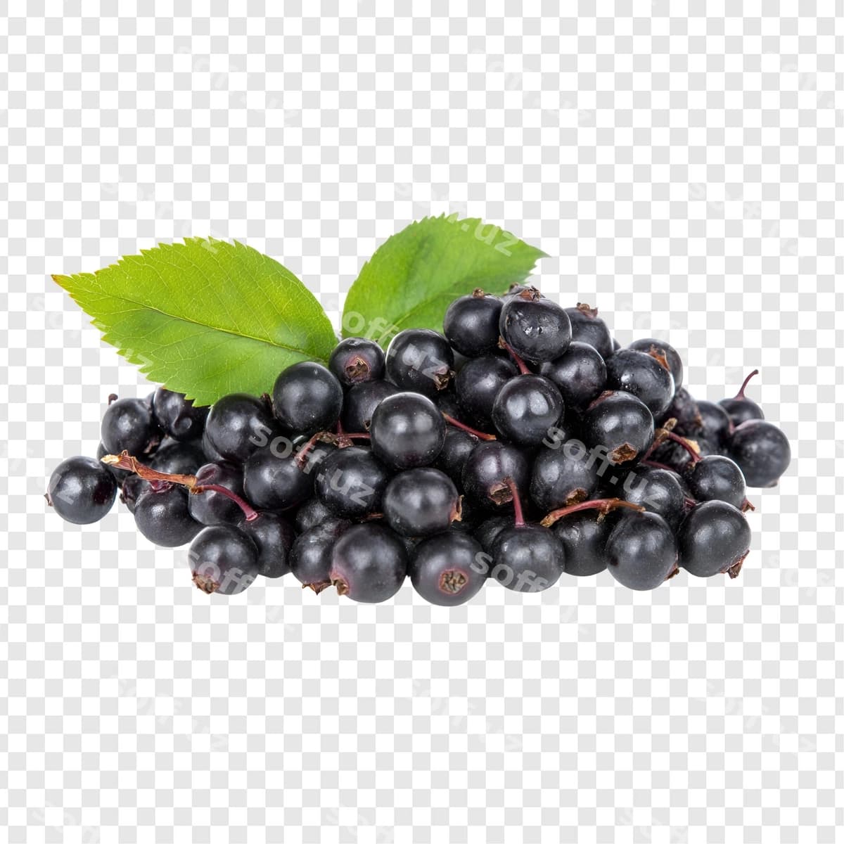 Shaffof ajralgan boringlar | Berries isolated transparent