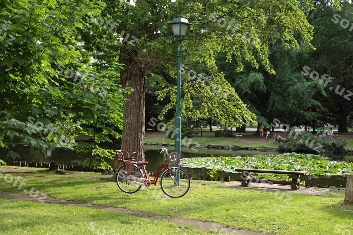 Velosiped parki | Bicycle park