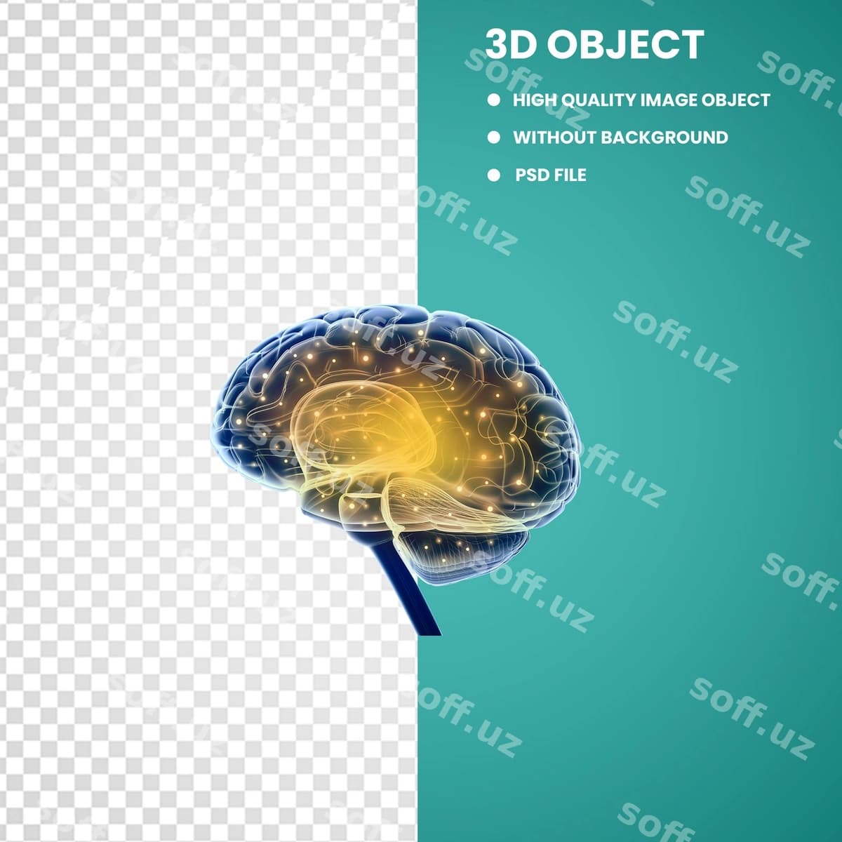 Insonga oyog'iy ko'k va sariq | Blue yellow human brain