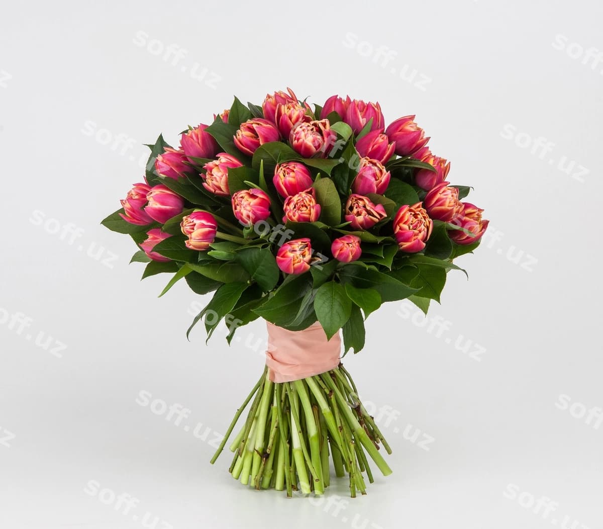 Oq fonda bahorgi gullar guldastasi | Bouquet spring flowers white background