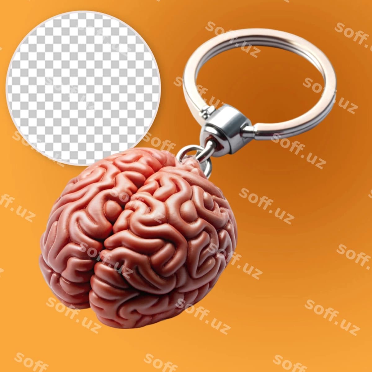Bosh kalit halqasi | Brain keyring