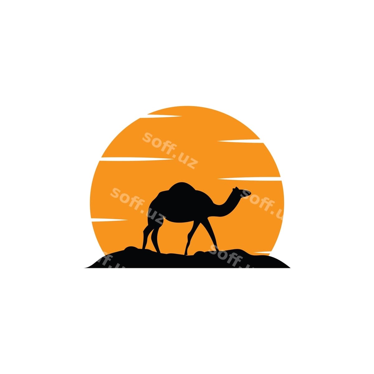 Chaqaloq ikon vektor illustratsiyasi | Camel icon vector illustration