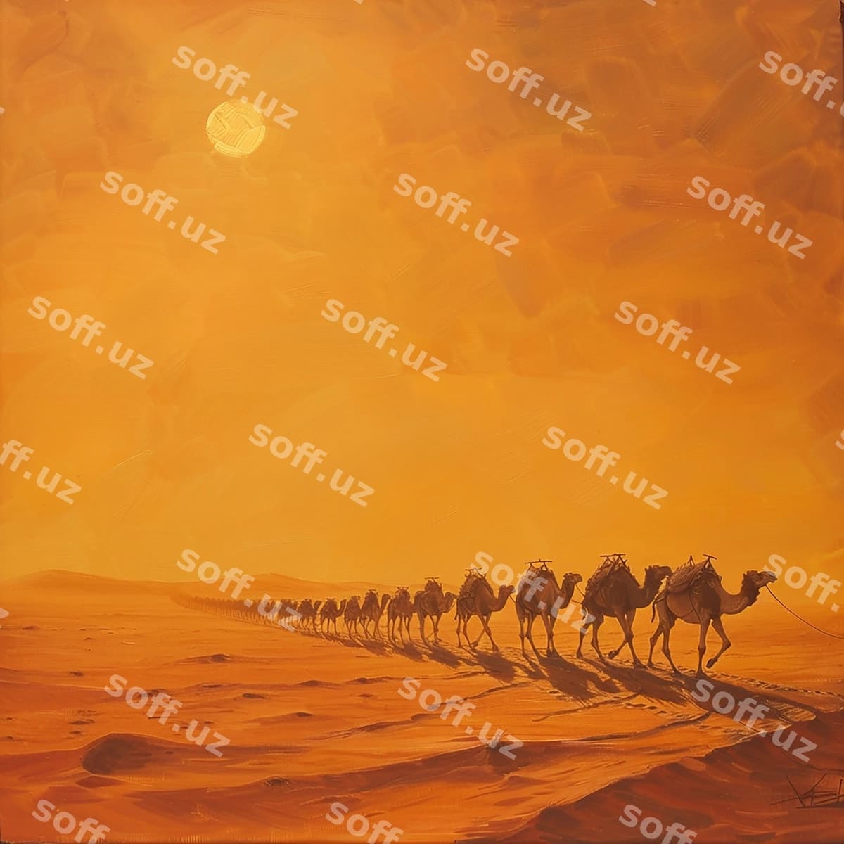 Damlar cho'lon o'tyotgan issiq quyosh | Camels crossing desert hot sun