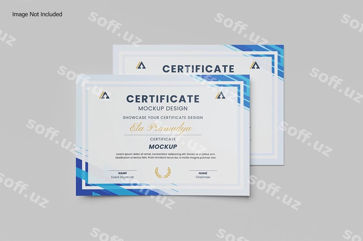 Sertifikat maketi | Certificate mockup