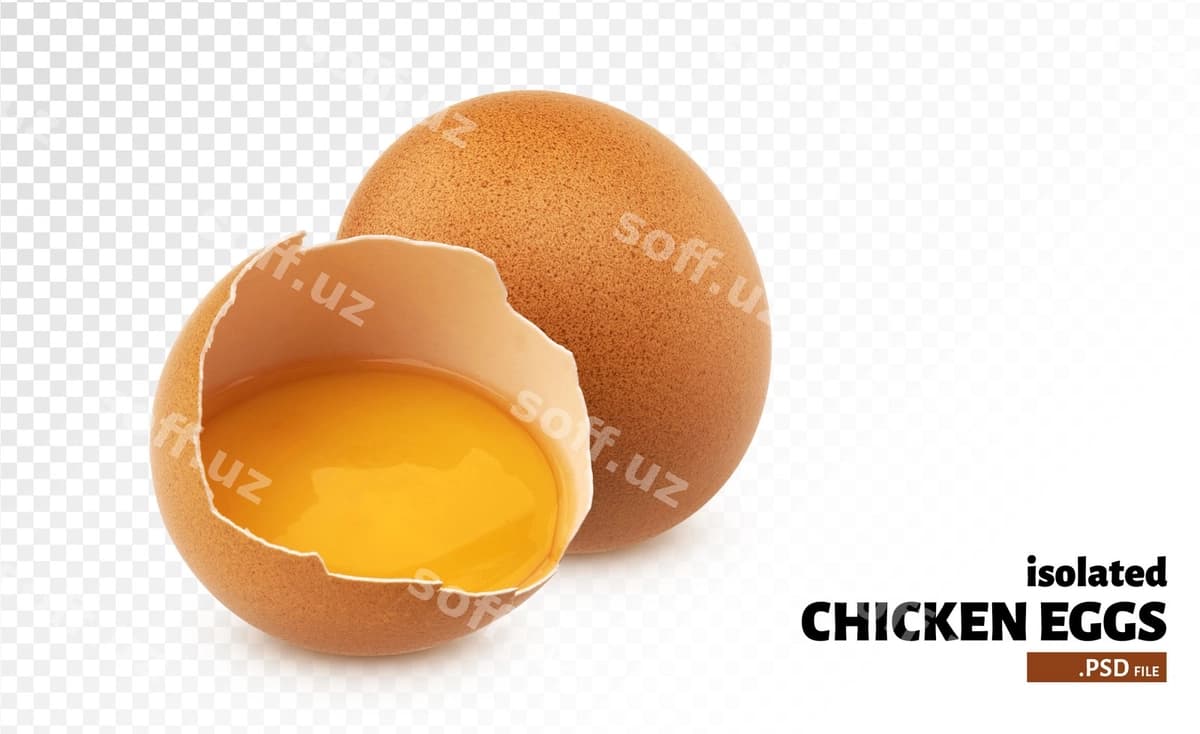 Tovuq tuxumlari izolyatsiya qilingan | Chicken eggs isolated