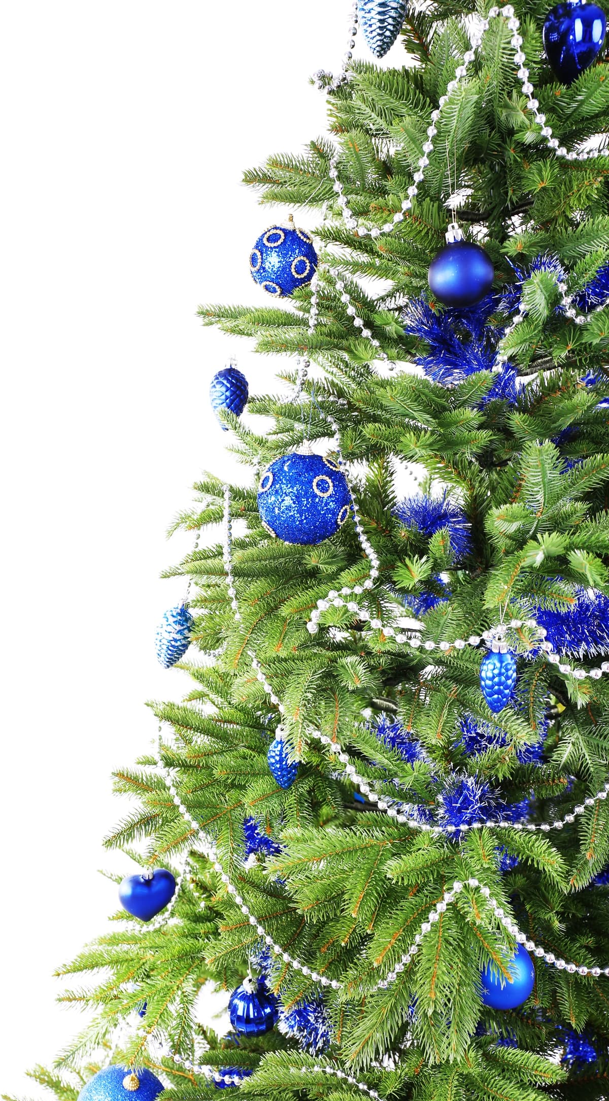 Rojdestvo daraxti oq izolyatsiya qilingan | Christmas tree isolated white