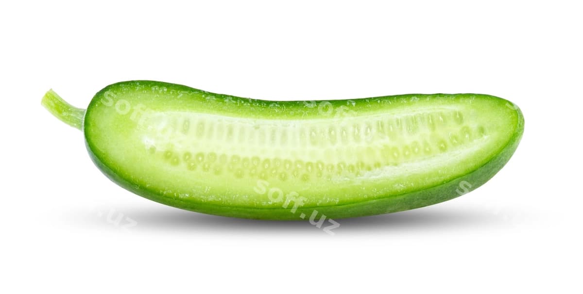 Oq devor kesimli bağir | Cucumber with slice white wall