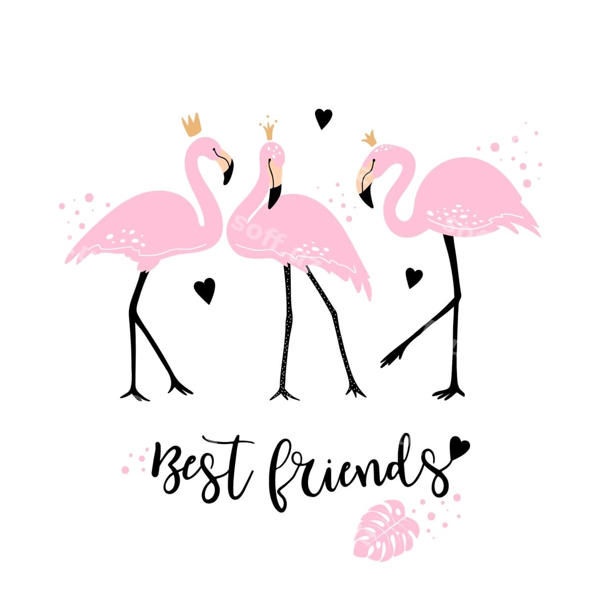 Chiroyli binafsha flamingolar | Cute pink flamingos