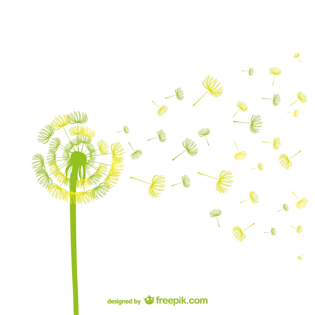 Yashil sariq karahindiba vektori | Green yellow dandelion vector