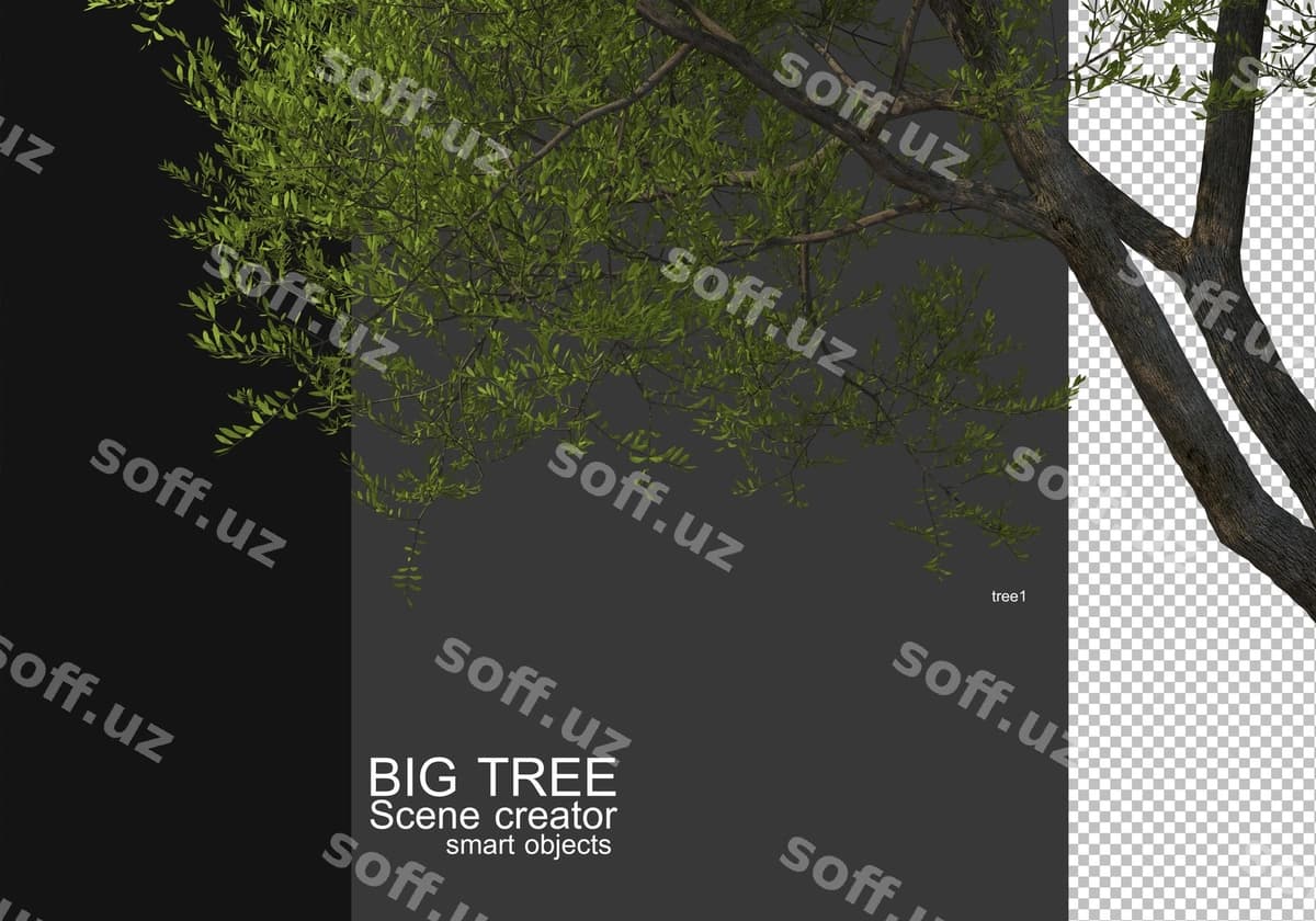 Ko'rsatish katta daraxt oldi fonda rendering | Display large tree foreground rendering
