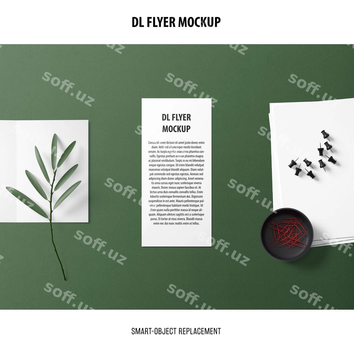 DL flyer namunasi | Dl flyer mockup