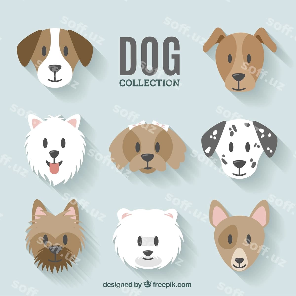 It to'plam dizayni | Dog collection design