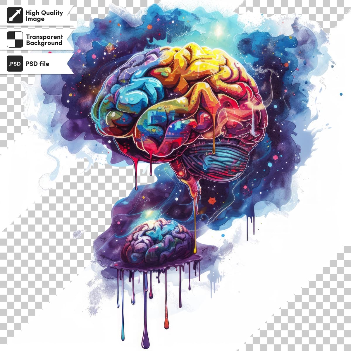 Miyani so'zlar bilan tasvirlang | Picture brain with words brain it
