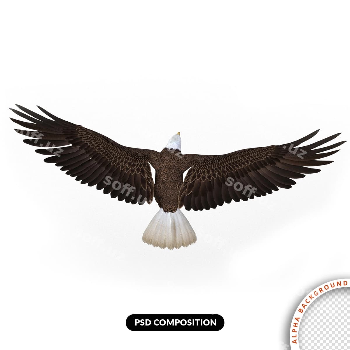Burgut uchish 3d render | Eagle flying 3d render
