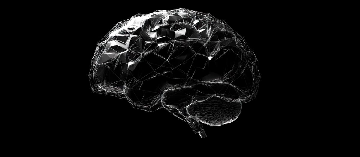 Ramkali miya | Wireframe brain