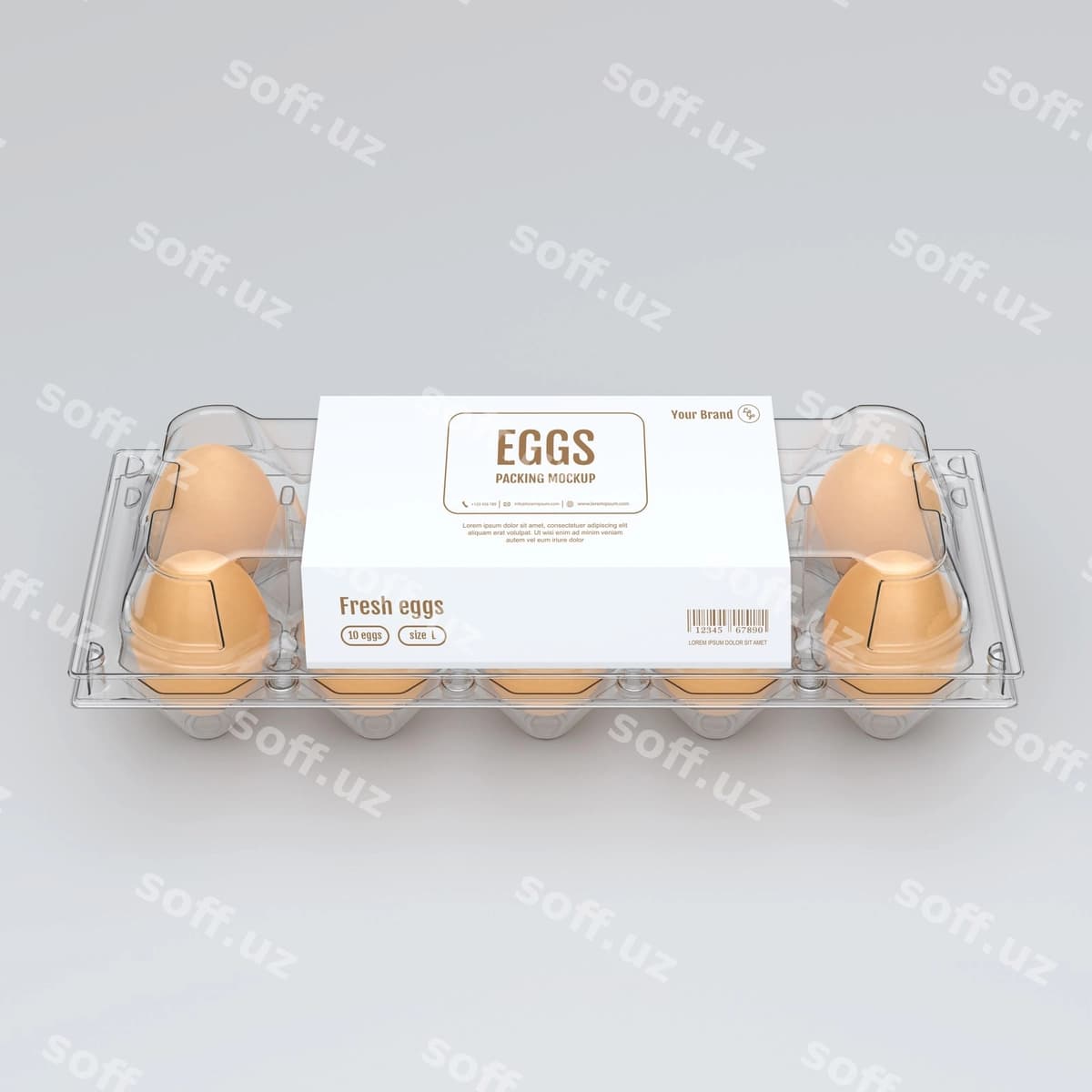 Tuxmatlar modeli | Eggs mock up