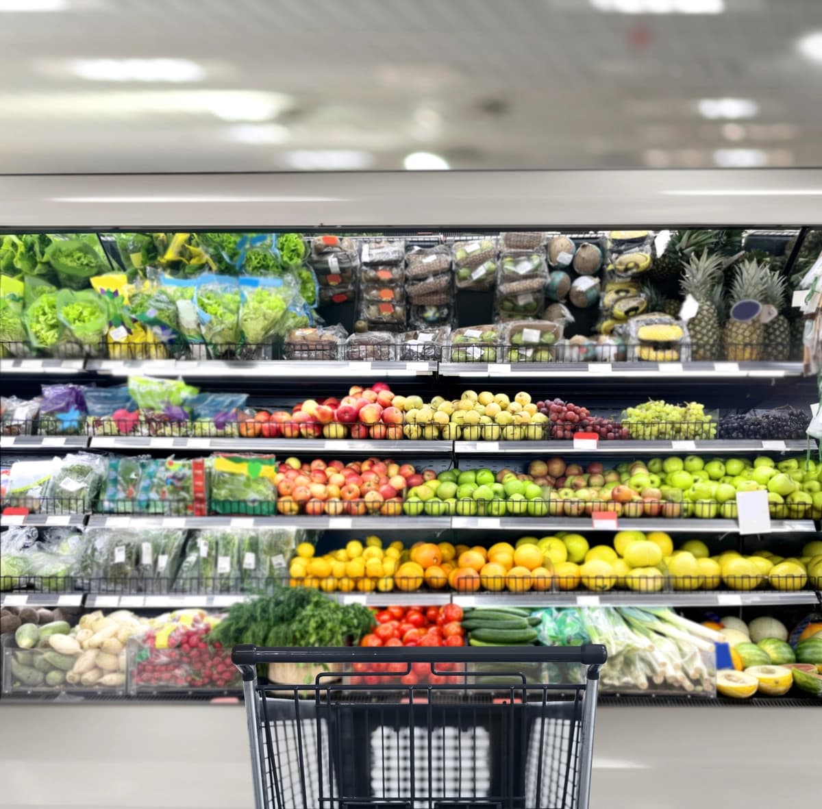 Bo'sh oziq-ovqat savatchasi bo'sh supermarket | Empty grocery cart empty supermarket