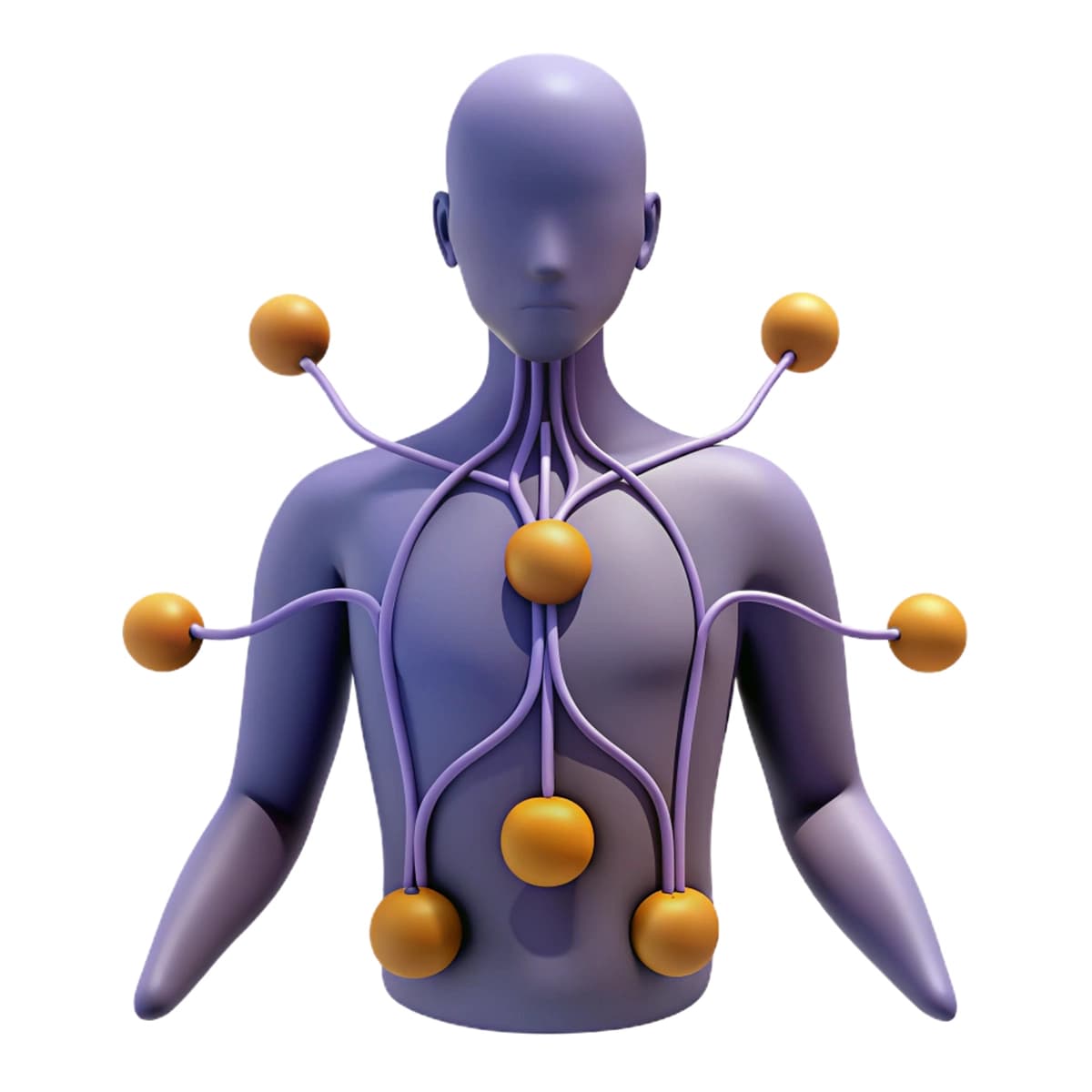 Tanasi 3 raqami bilan belgilangan ko‘k odam qiyofasi | Blue human figure with body labeled with number 3