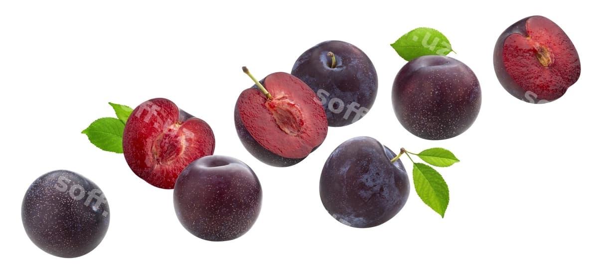 Tushadigan oʻriklar varaq bilan ajralgan | Falling plums with leaves isolated
