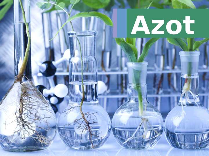 Azot