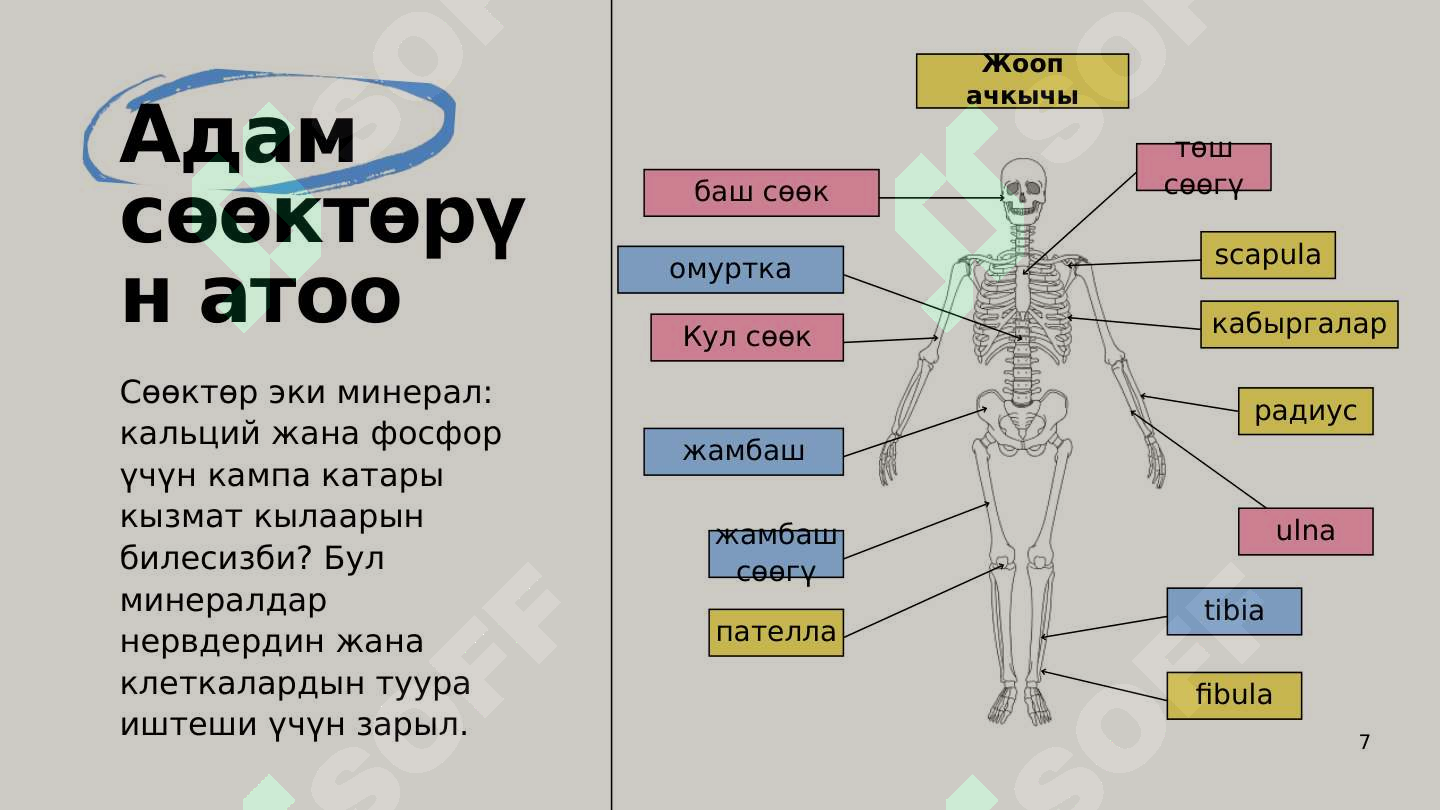 Product slide 7