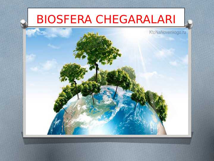 BIOSFERA CHEGARALARI