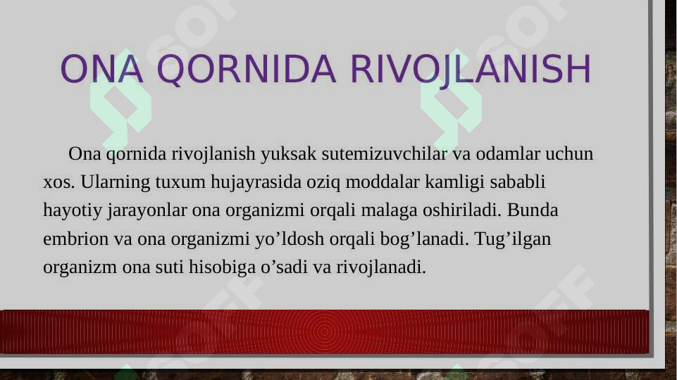 Product slide 6