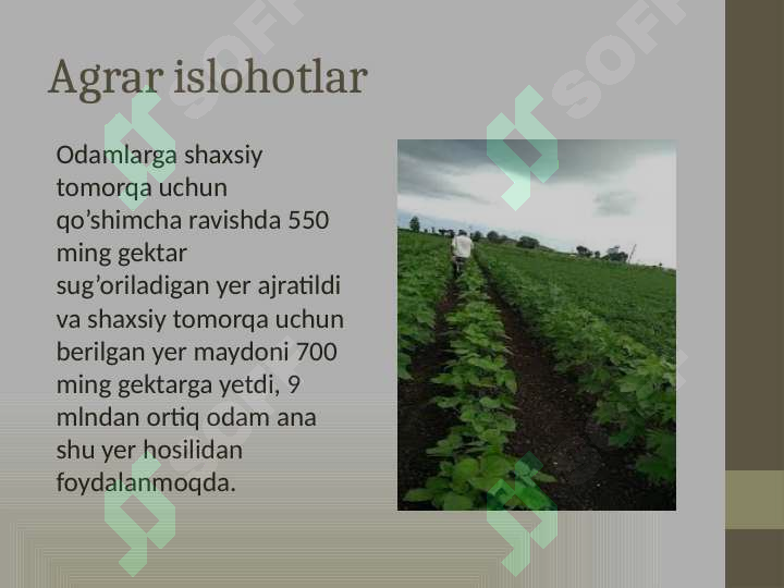 Product slide 7