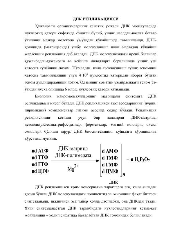 ДНК РЕПЛИКАЦИЯСИ