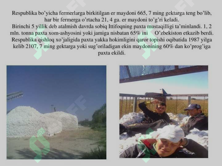 Product slide 7
