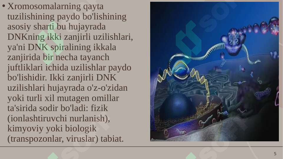 Product slide 5