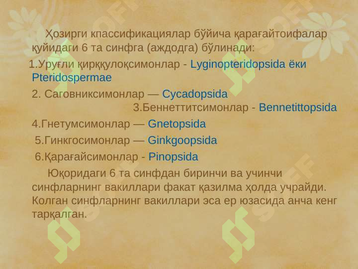 Product slide 6