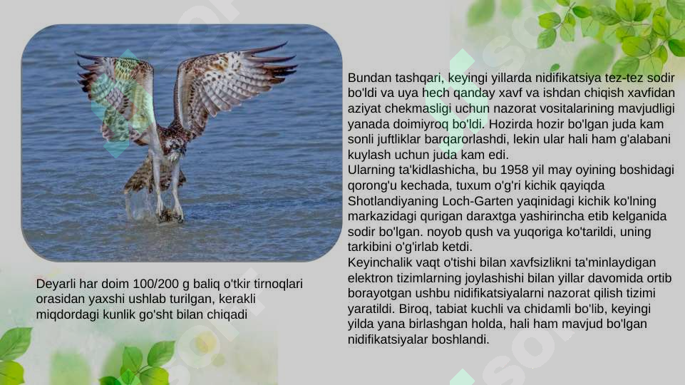 Product slide 5