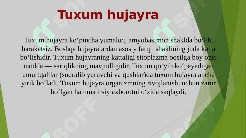Product slide 6