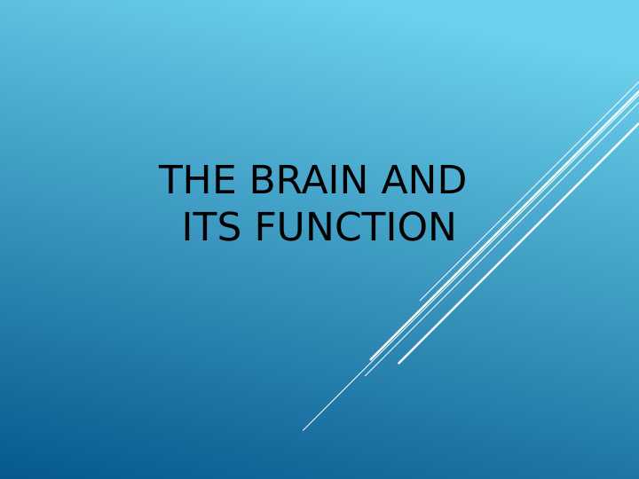 The brain and its function