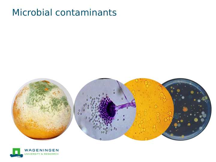 Microbial contaminants